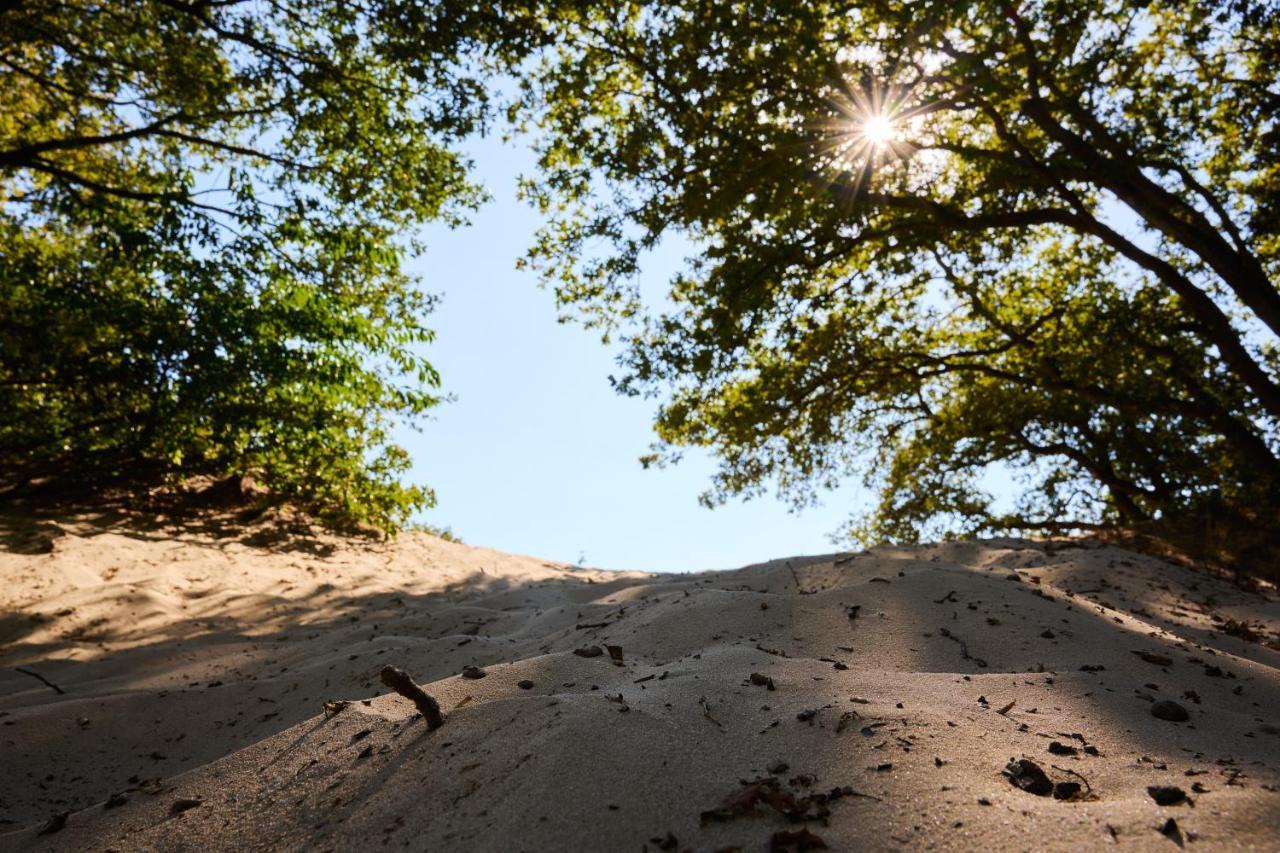 Sandberghe - Een Plek Om Te Verdwalen อูเดน ภายนอก รูปภาพ
